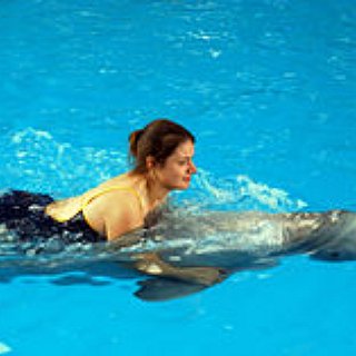BucketList + Swim With Dolphins In Florida