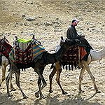 BucketList + Ride A Camel = ✓