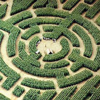 BucketList + Go Through A Huge Maze