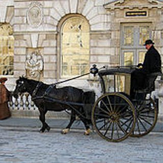 BucketList + Ride In A Horse Drawn Carriage