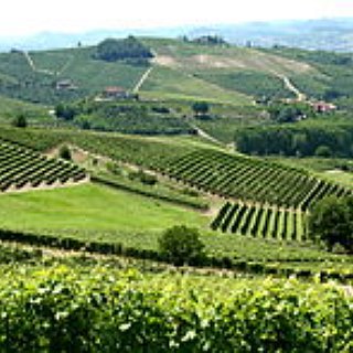 BucketList + Go Wine Tasting In Italy