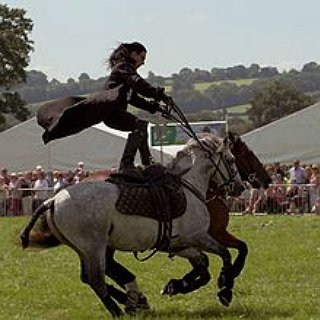 BucketList + Learn To Ride A Horse With Confidence, And Not Be Afraid