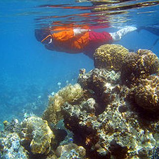 BucketList + Snorkel The Great Barrier Reef