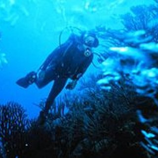 BucketList + Deep Sea Dive