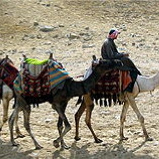 BucketList + Ride Camel In The Desert