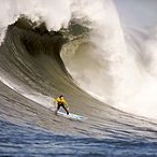 BucketList + Get A Surfing Lesson