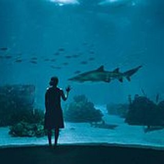 BucketList + Go On An Aquarium Date