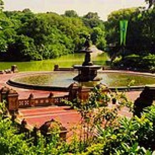 BucketList + Go For A Walk In Central Park