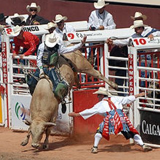 BucketList + Ride A Real Bull