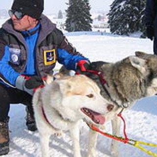 BucketList + Go Husky Sledging 