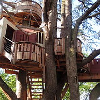 BucketList + Stay At A Treehouse Hotel