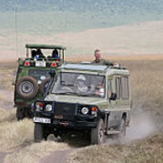 BucketList + African Safari