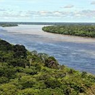 BucketList + Visit The Amazon Rainforest, South  America