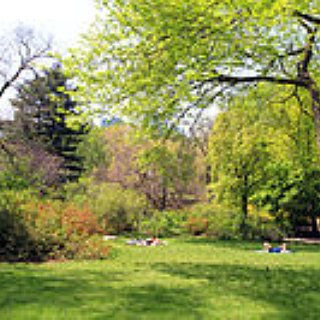 BucketList + Have A Picnic In Central Park