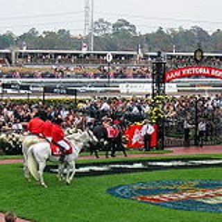 BucketList + Go To The Melbourne Cup.