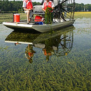 BucketList + Airboat Ride In The Everglades. 