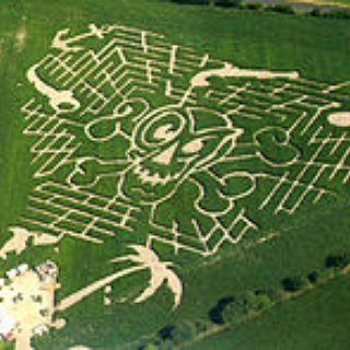 BucketList + Walk A Corn Maze