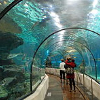 BucketList + Visit An Aquarium 