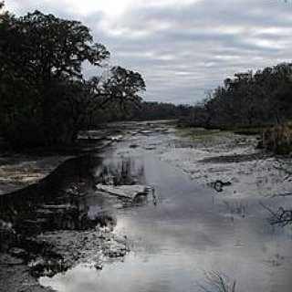 BucketList + Go To Cumberland Island