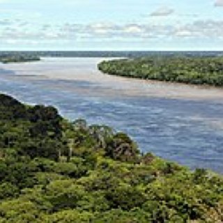 BucketList + Fish In The Amazon River