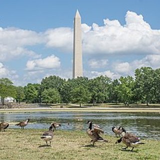 BucketList + Visit The Constitution Gardens