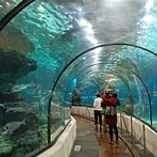 BucketList + Visit Aquarium