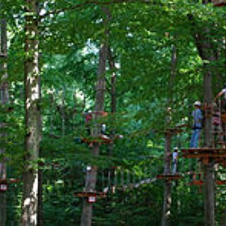 BucketList + Complete A Ropes Course.