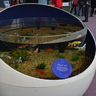 BucketList + Go To The Ripley's Aquarium In Toronto