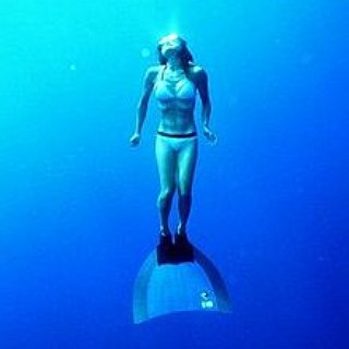 BucketList + Free Diving