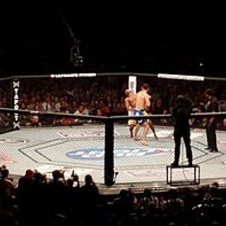 BucketList + Go To  A Ufc Fight